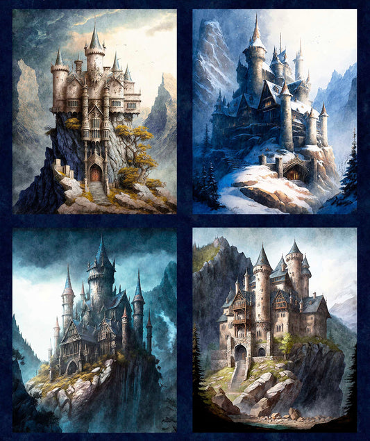 Wizards and Warriors - Castle Panel