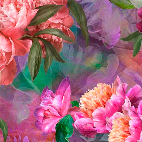 Remnant 195cm - Peony Romance - Large Peony