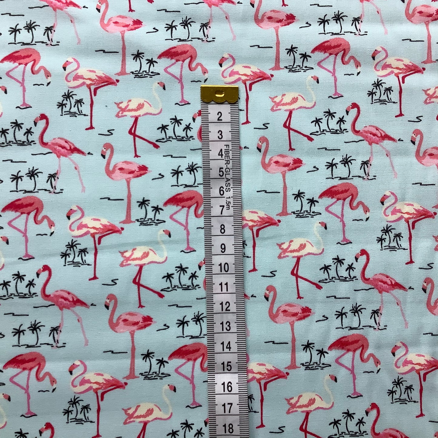 Flamingos